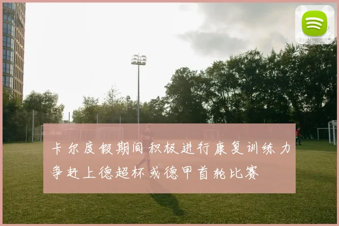 卡尔度假期间积极进行康复训练力争赶上德超杯或德甲首轮比赛