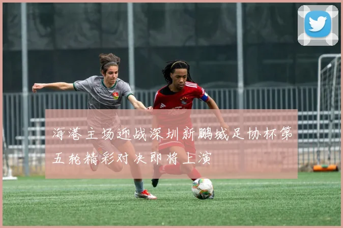 海港主场迎战深圳新鹏城足协杯第五轮精彩对决即将上演